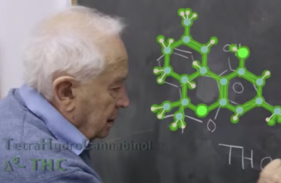 What are Terpenes? What is the “Entourage Effect?”