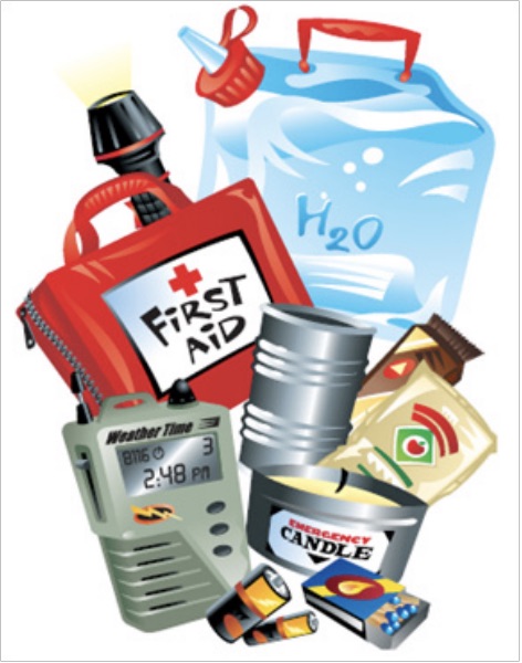 Home and Car Emergency Supply Checklists ~ Are you Prepared?