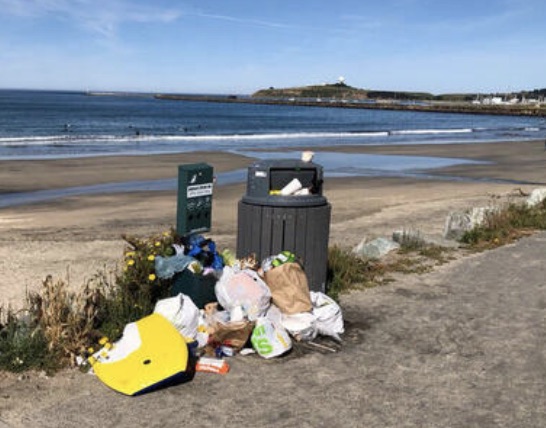 Mayor Rarback Is On Top of the Surfers’ Beach Garbage Problem ~ Complicated Jurisdiction