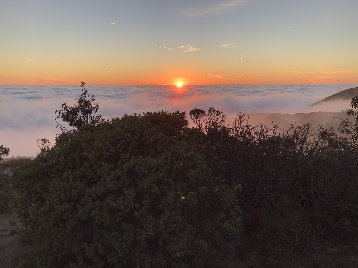 Montara Mountain: Unwanted Advances