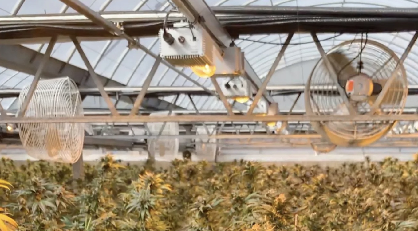 FAC Tours HMGrow and Dark Heart Cannabis Farms Great Pay and Benefits “Best Farms in the Region”