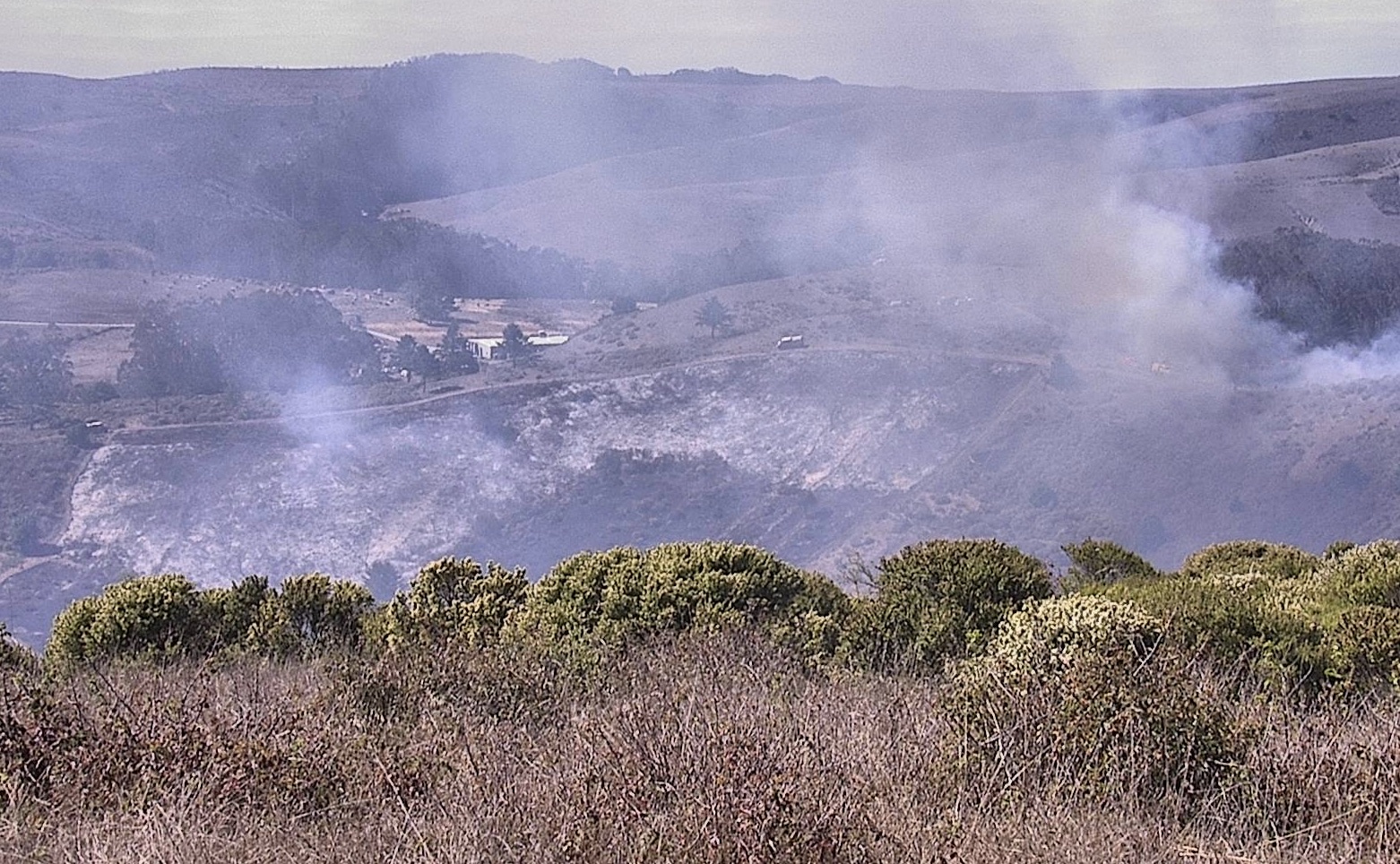 Before and After: Prescribed Burn at TomKat Ranch South of Pescadero is a Success