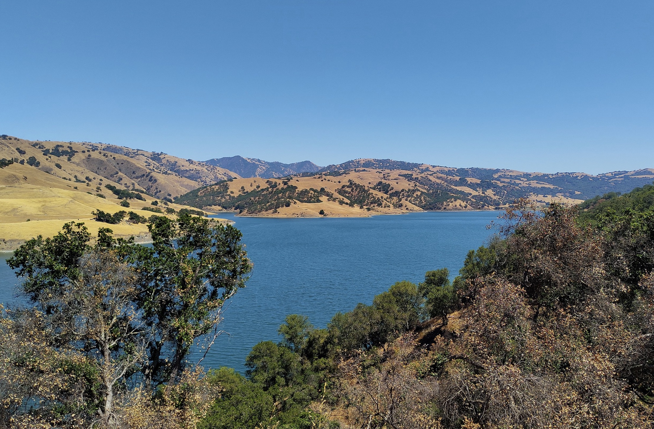 Lawsuit Orders City of San Francisco to Open Calaveras Reservoir for Shore Fishing; Crystal Springs Next?