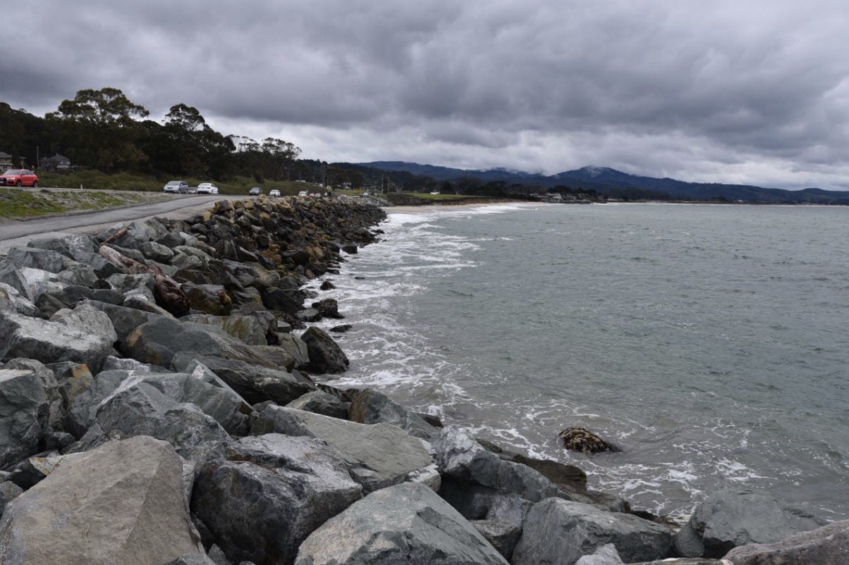 San Mateo County Harbor District Gets Comprehensive Update on the Timing Complexites of the Pillar Point Harbor Dredge with Grant Hunting and Eel Grass Mitigation