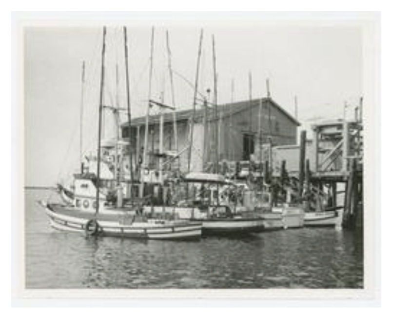 The Romeo Pier and the Fishing Life of Pillar Point Harbor from 1942 to 2018