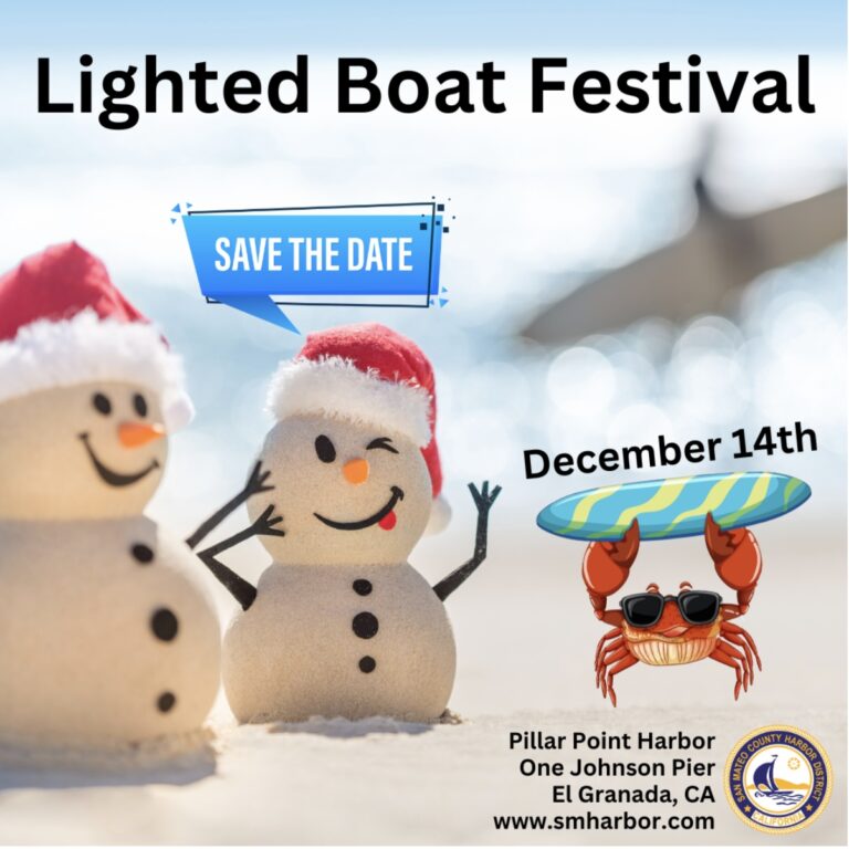 Lighted Boat festival 768x768