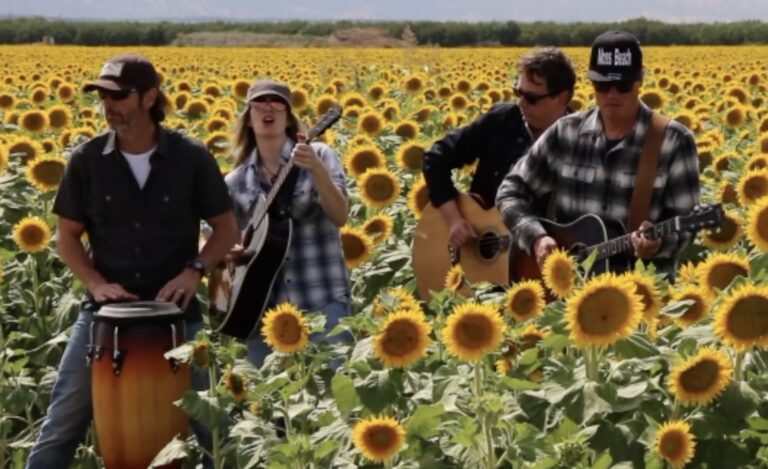 Slack Tide in Sunflowers 768x469