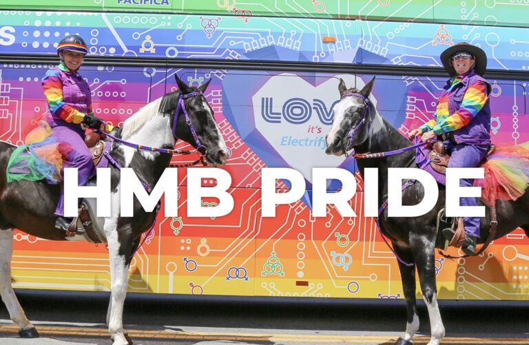HMB Pride horses 768x501