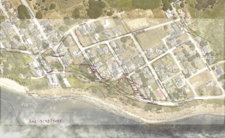 seal cove aerial 768x473