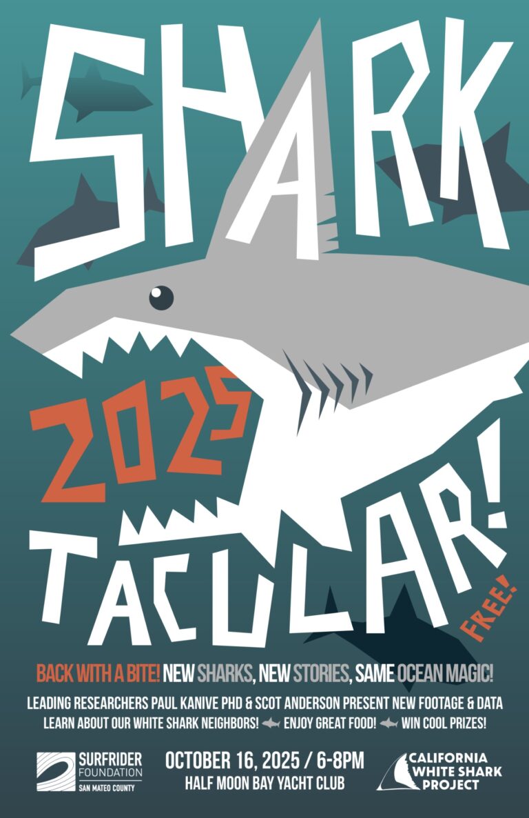 Sharktacular 768x1186