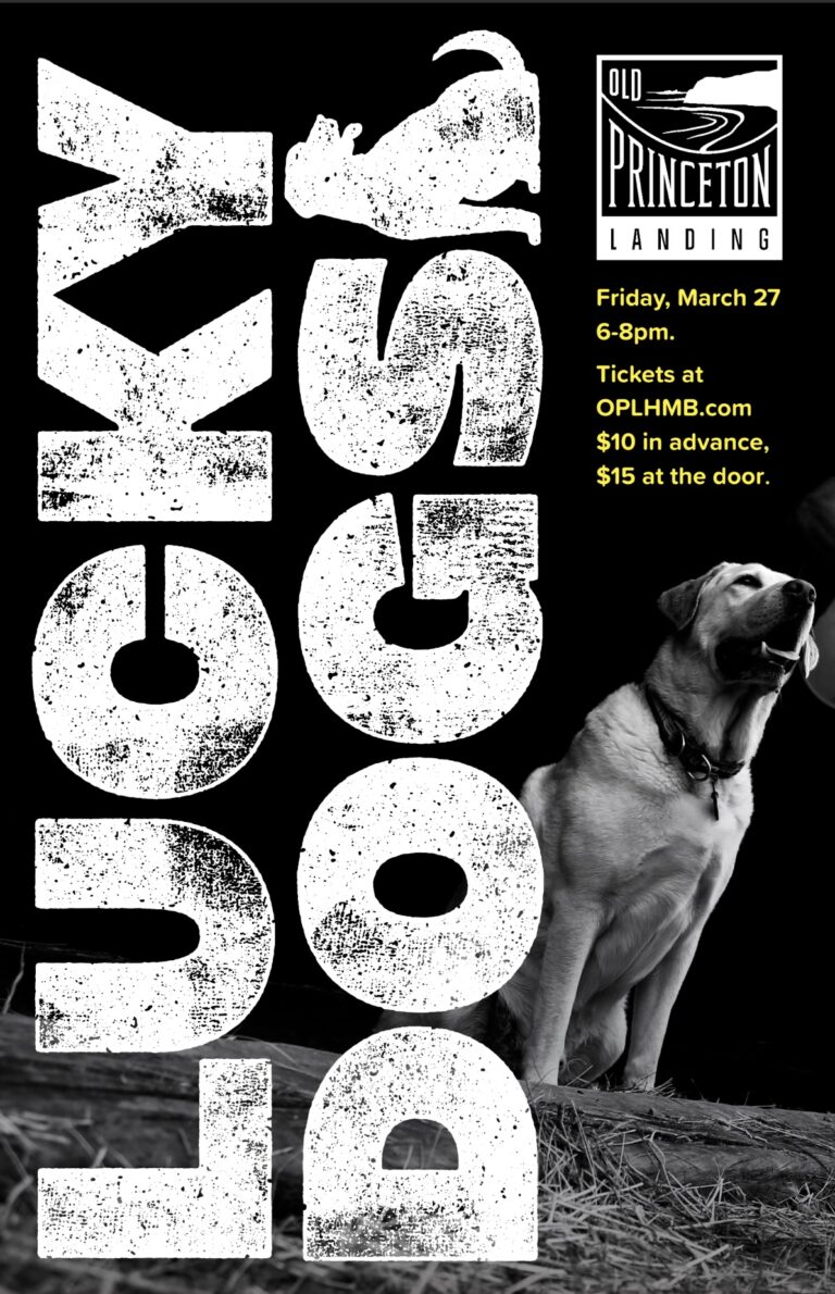 lucky dogs opl 768x1190