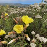 54716212167 b0d90172d0 k 150x150