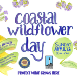 CWD 2026 Flyer Facebook Cover 1 150x150