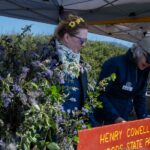 cowell volunteers cwd 150x150