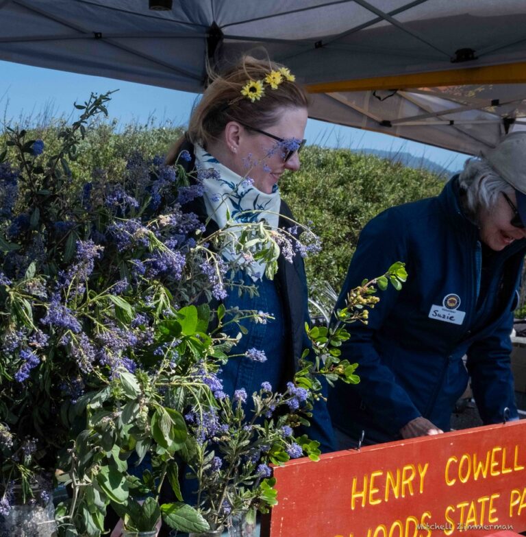 cowell volunteers cwd 768x783