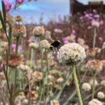 f06f2a99 5f2a 4f55 89dc 408e283df54a 150x150