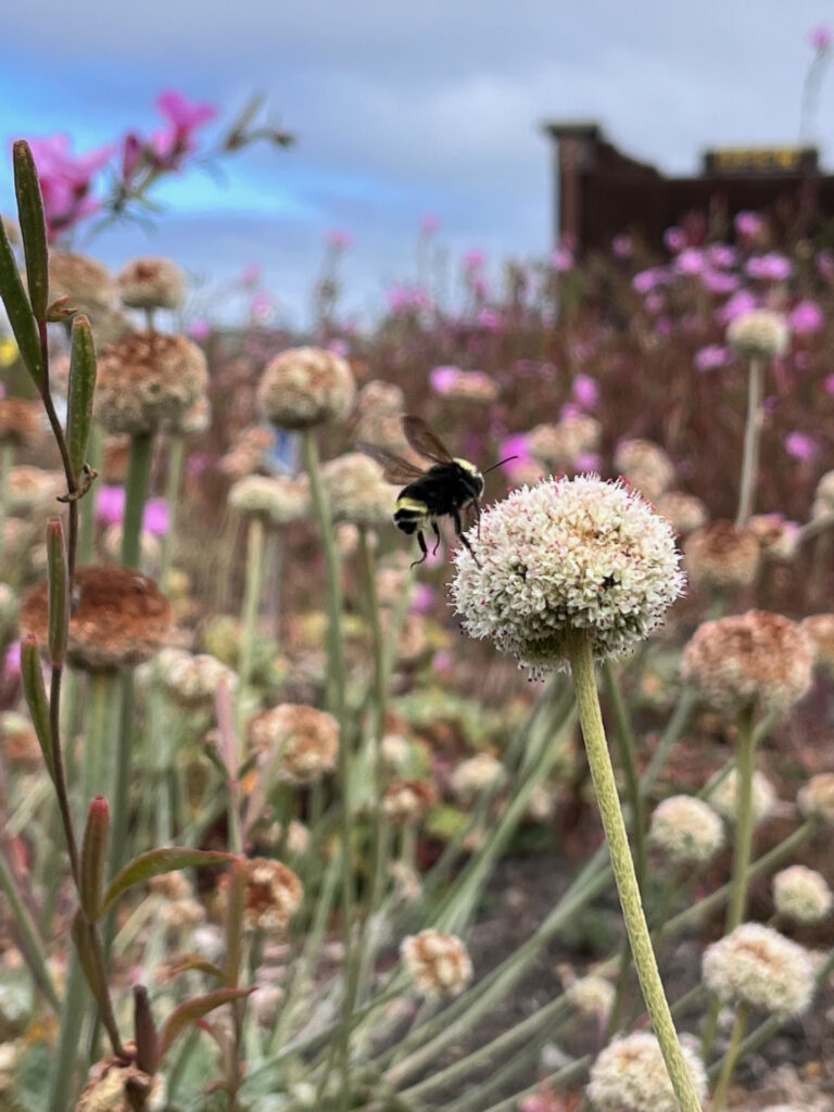 f06f2a99 5f2a 4f55 89dc 408e283df54a 768x1024