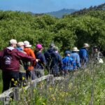 guided walk CWD 25 150x150