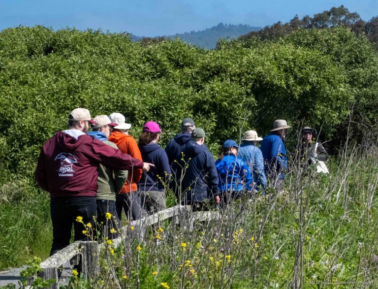 guided walk CWD 25 768x587