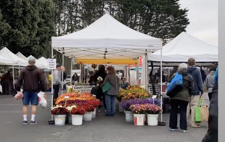 half moon bay farmer market crowd 768x484