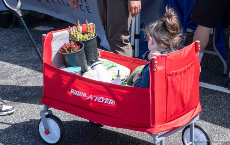 kid in cart with plants 768x484