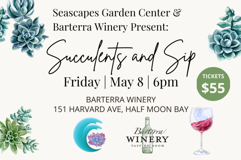 5.8.26 Succulents and Sip 1500 x 1000 768x512