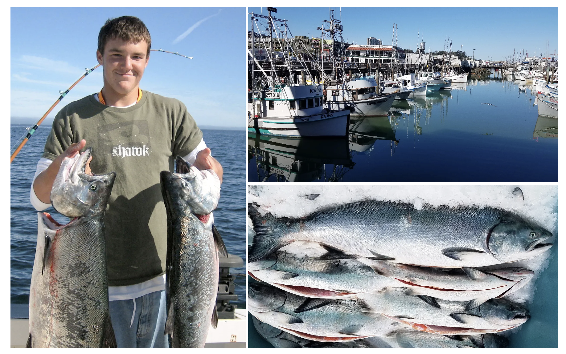 After 3 Years, Pillar Point Harbor will Open 2026 Ocean Salmon Season ...