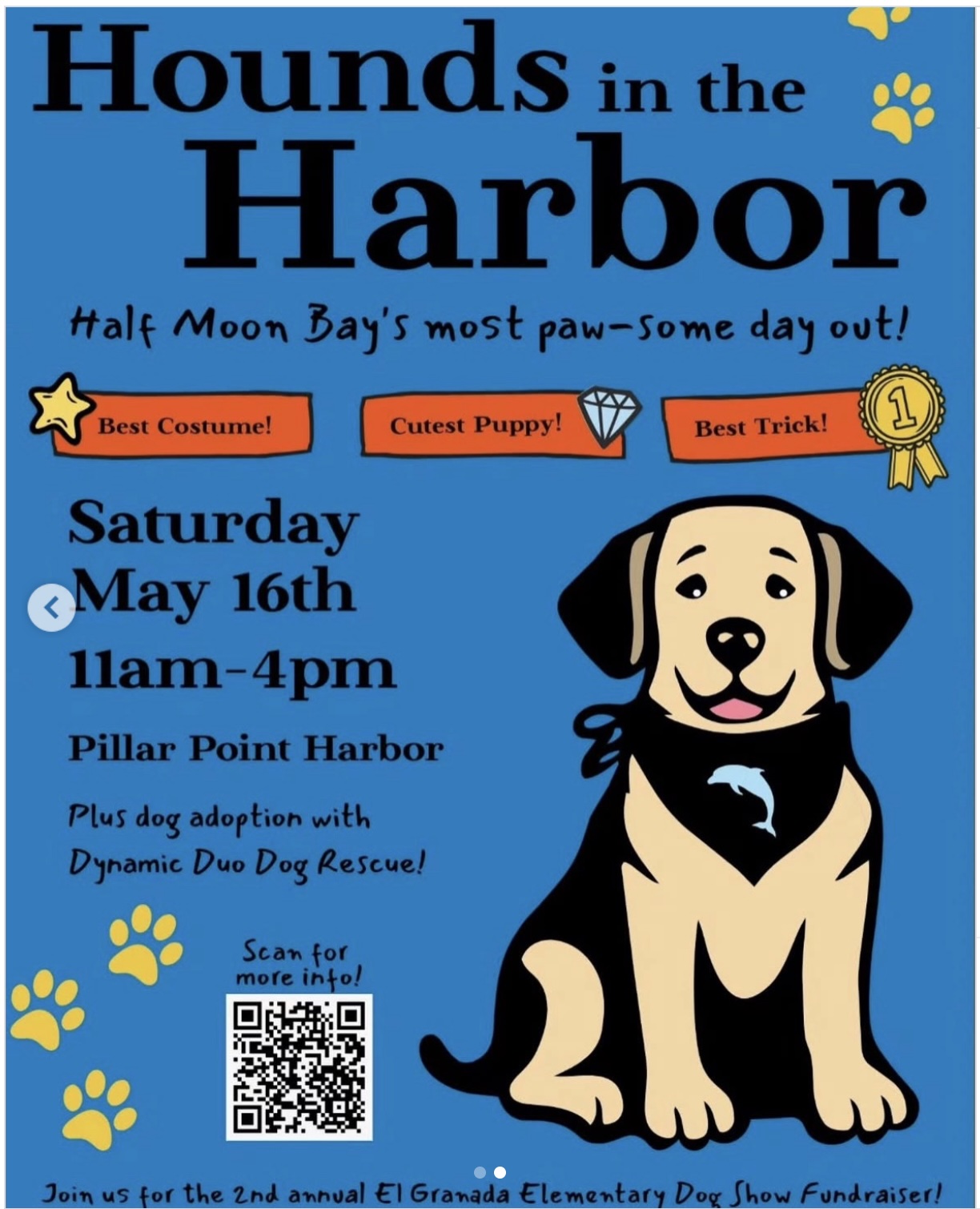 Register Your Dog for the 2nd Annual “Hounds in the Harbor” at Pillar Point Harbor as Fundraiser for El Granada Elementary