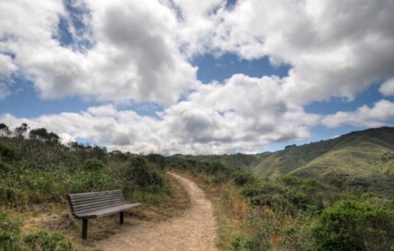 San pedro Park trail 768x489