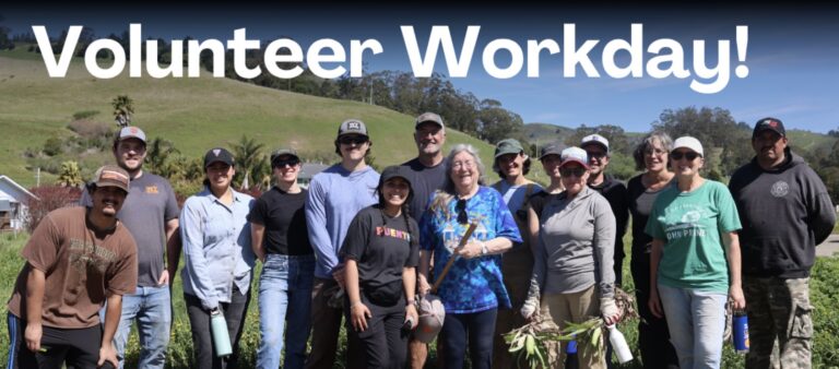 puente workday peeps 768x338