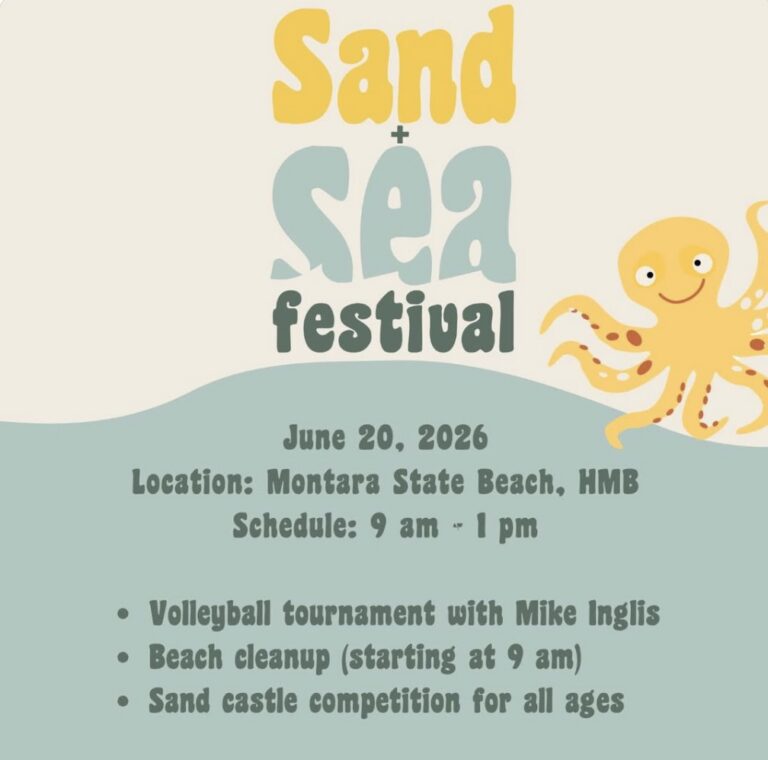 sand and sea festival 2026 768x760