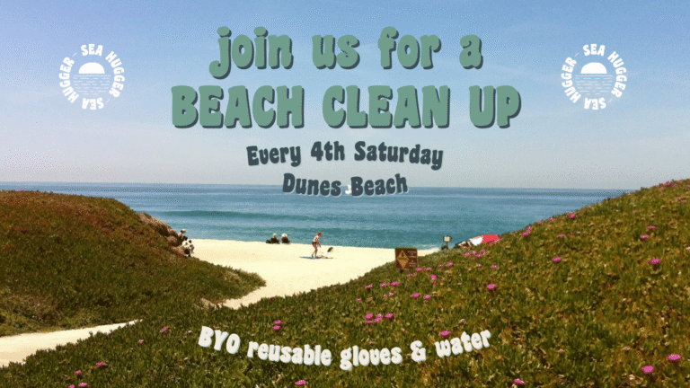 Dunes Beach Clean Up 1600 x 900 px 1 768x432