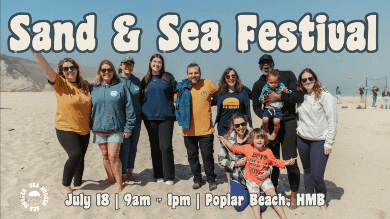 Sea Hugger Events 2 768x432