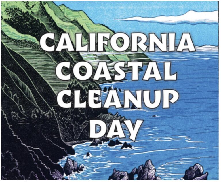 coastal cleanup graphic 768x632
