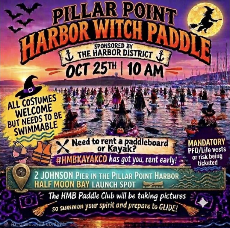 witch paddle  768x762