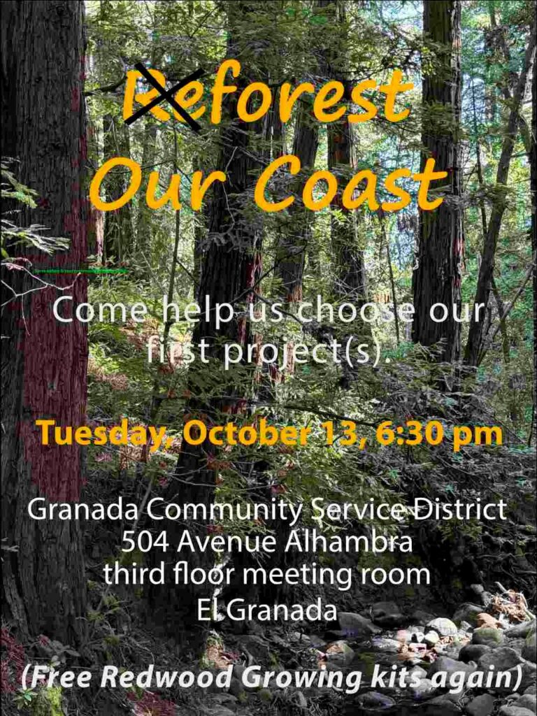 Reforest our Coast October 768x1024