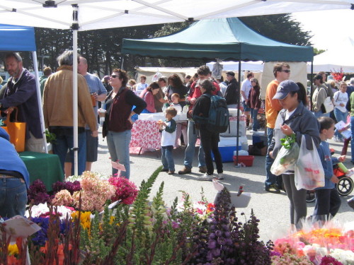 Census Assistance Outreach at the Farmers Market in HMB, Pescadero and Pacifica