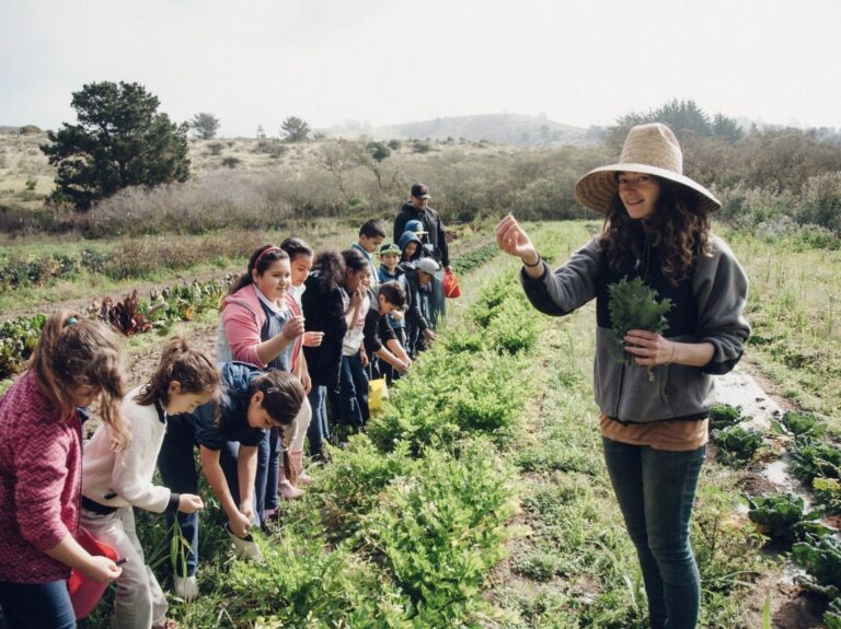 HEAL field trip 1 768x575