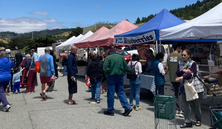 Pacifica Farmers Market 768x448