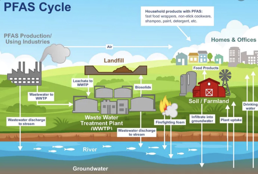 What are PFAS or “Forever Chemicals” and Why Should We Care on the Coastside?