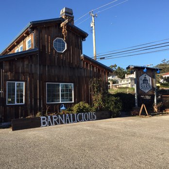 The Coastal Butterfly Visits The Barn